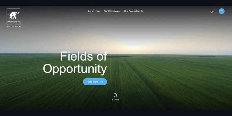 Mahgoub Sons Group website screenshot